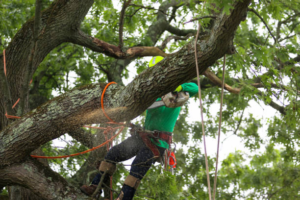 Mulching Services in Village Of Four Seasons, MO