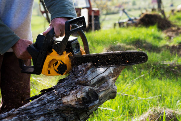 Best Tree Removal  in Village Of Four Seasons, MO